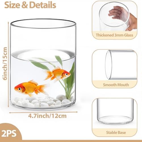 TBWIND 2pcs 6" x 4.7" Clear Glass Cylinder Vases for Centerpieces - Image 2