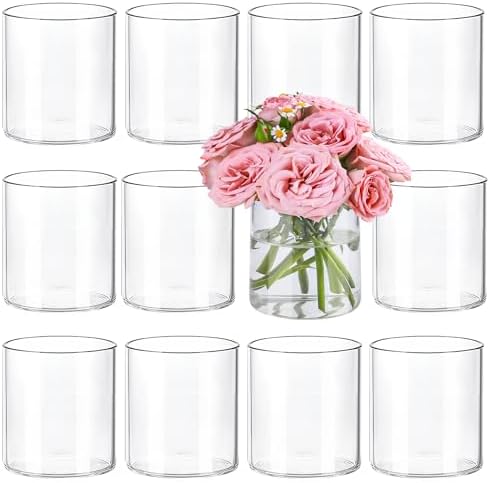 TBWIND 12pcs 4 Inch Clear Glass Cylinder Vases for Centerpieces by TBWIND