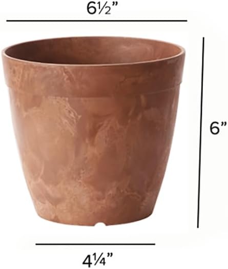 Root & Vessel Dolce Round Planter, Rust, 6"