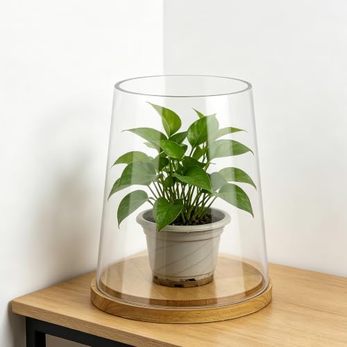 8" Wide Glass Hurricane Candle Holders with Handmade Sturdy Glass Sleeves and Natural Wood Base for Pillar Candle & Plants, Industrial, Farmhouse, Display Cloche Bell Jars, Table Centerpiece - Image 5