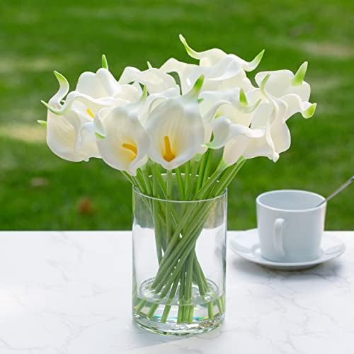 Enova Floral Clear Glass Cylinder Vase 6 x 10 Inches Round Flower Vase, Pillar Candle Floating Candle Holder Vase, Tall Glass Vase for Flowers, Glass Vase for Decor, Wedding Centerpieces (1 Piece) - Image 3