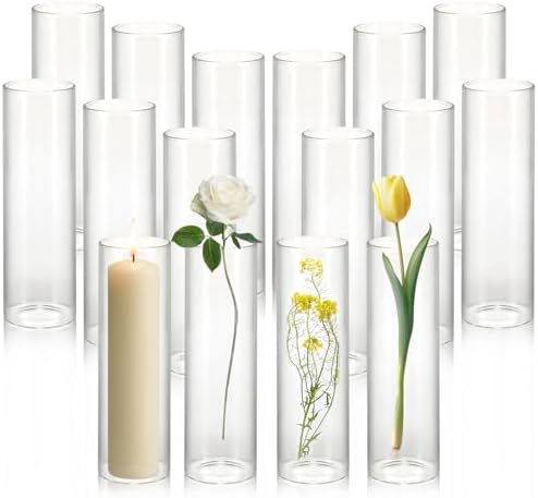 Tigvio 16 Pack Small 5.9" Tall x 1.8" Diameter Clear Glass Cylinder Vases by Tigvio