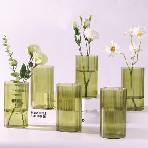 Glass Cylinder Bud vases for Centerpieces, 6 Inches Clear Ribbed Glass Vases Bulk for Wedding Table Decor, Loral Vase Bulk Flower vases, Tall Hurricane Candle Holder for Table Shelf, Party (Green) by TripodBird