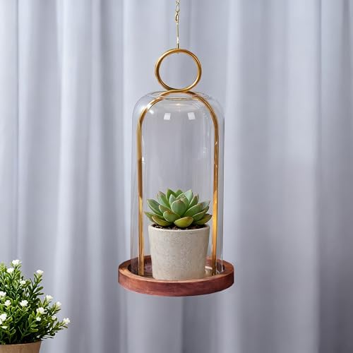 12" High Versatile Vintage Brass Metal Candle Holder with Handmade Sturdy Glass Dome and Natural Wooden Base for Pillar Candle & Plants, Industrial, Farmhouse, Shabby Chic, Display Cloche Bell Jars - Image 4