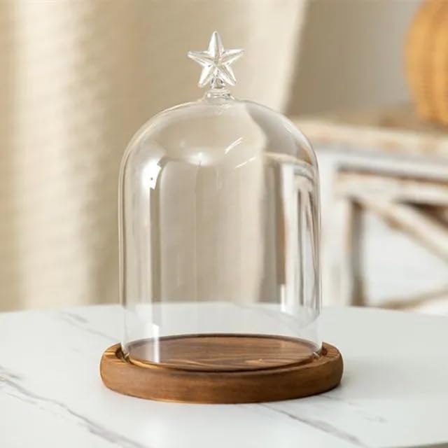 12 * 16cm Big Size Antique Base Different Top Glass Dome Vase Home Decoration Transparent Candle Cover Wedding Friend Favor Gift (1set Star Dome Base) by BDMYFNSENERETY