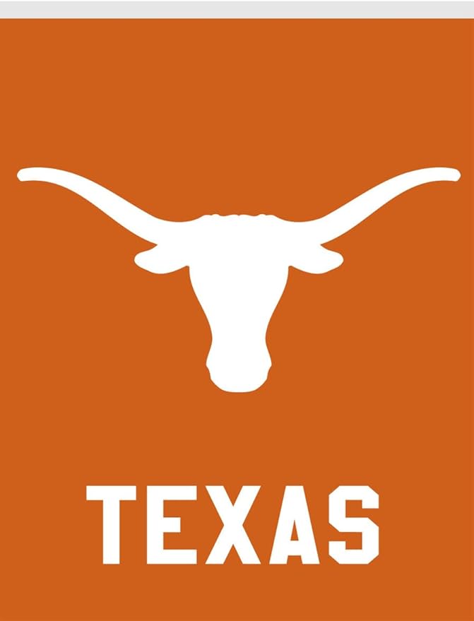 Briarwood Lane House Flag 40x28 For Outdoor Texas Longhorns NCAA Licensed House Flag