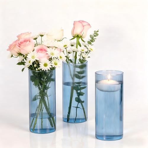 Glass Cylinder Vases, Blue, 8 Inch Tall, Set of 3 by TripodBird