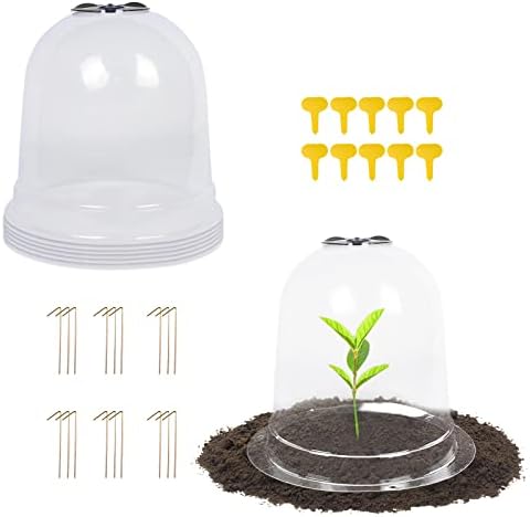 MorTime 6 Pack Garden Cloche Plant Dome, 7.3" D x 6.9" H Plastic Plant Bell Cover Reusable Mini Greenhouse with 18 Ground Securing Pegs & 10 Plant Labels for Outdoors Frost Freeze Protection by MorTime