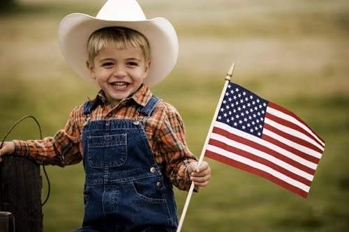 GIFTEXPRESS 12-Pack, Proudly MADE IN U.S.A. 8x12 Inch Spearhead Handheld American Stick Flags/Grave marker American Flags/USA Stick Flag (12)