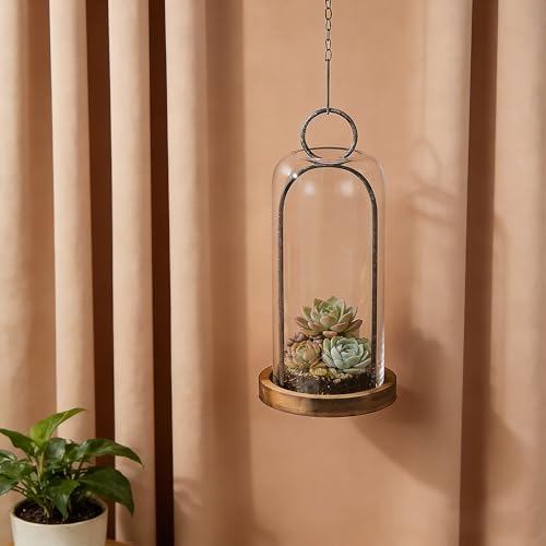 16" High Versatile Rustic Brown Metal Candle Holder with Handmade Sturdy Glass Dome And Shabb Brown Wooden Base for Pillar Candle & Plants, Industrial, Farmhouse, Shabby Chic, Display Cloche Bell Jars - Image 5