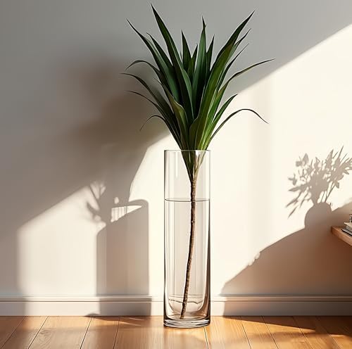 CYS EXCEL Cylinder Clear Glass Vase (H:26" D:6") | Multiple Size Choices Glass Flower Vase Centerpieces | Hurricane Floating Candle Holder Vase - Image 6