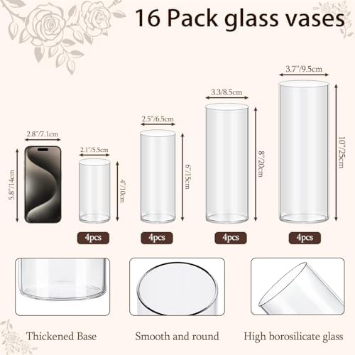 TBWIND 16pcs 4/6/8/10 Inch Clear Glass Cylinder Vases for Centerpieces - Image 2