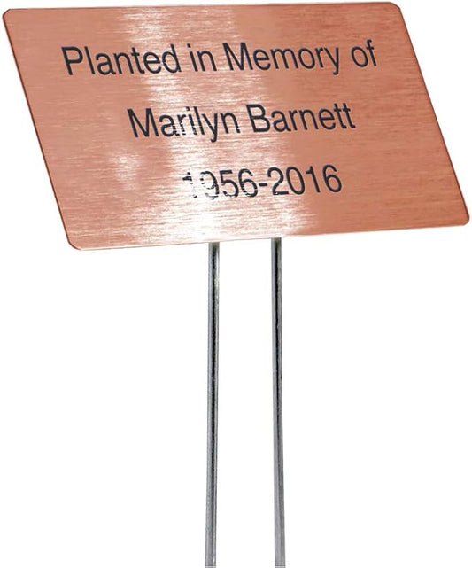 Outdoor Metal Garden Sign, Label, or Memorial. 4 x 2" or 6 x 4" sign with rounded corners and a 10" stake. Materials Include: Stainless Steel, Brass, Copper, Bronze and Titanium. (Copper, 4 x 2")