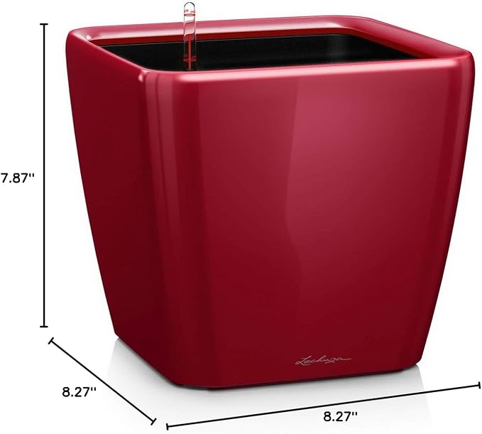 Lechuza Quadro LS 21 Scarlet Red High Gloss, Self-Watering Square Planter, H7.9 L8.3 W8.3 in