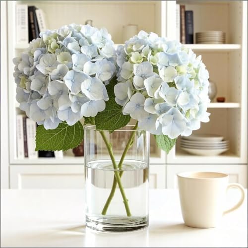 CYS EXCEL Cylinder Clear Glass Vase (H:8" D:6") | Multiple Size Choices Glass Flower Vase Centerpieces | Hurricane Floating Candle Holder Vase - Image 5