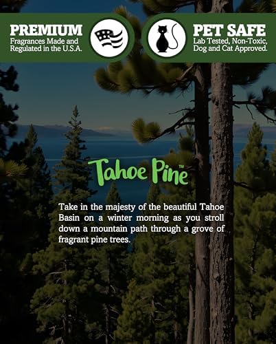 Tahoe Pine Soy Votive Candles - Scented with Essential & Natural Oils - 6 Green Natural Votive Candle Refills - Fresh & Clean Collection - Image 5
