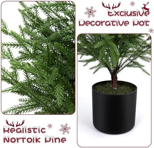 4FT Prelit Norfolk Pine Christmas Tree Real Touch Artificial Cedar Tree with 80LED Lights & 8-Function Plug-in Potted Faux Trees for Front Porch, Entryway, Patio, Christmas Indoor Outdoor Decor - Image 7