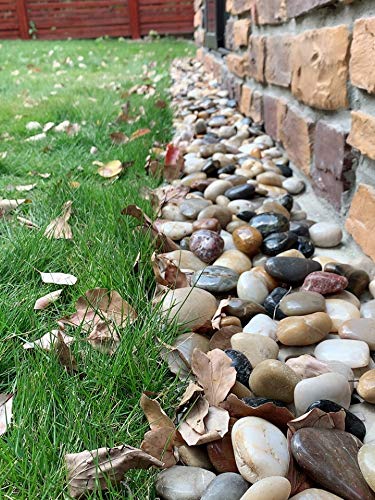 FANTIAN 20 lbs River Rocks for Outdoor Landscaping, 2-3 inch Large Pebbles for Indoor Plants. Polished Decorative Stones for Garden, Aquarium, Vase Fillers and Backyard