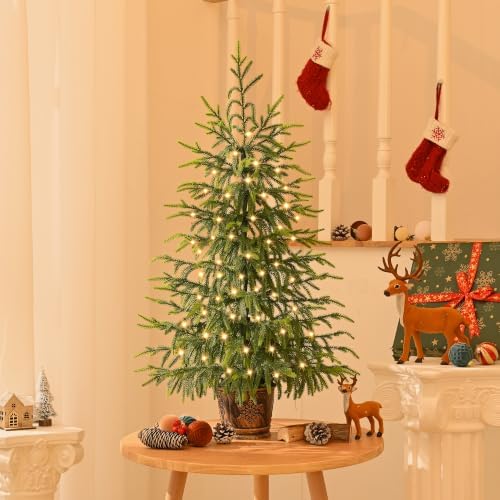 BLEUM CADE 3FT Small Norfolk Pine Tree with Lights, Tabletop Christmas Tree - Image 4