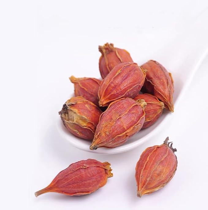 Gardenia Fruit -山栀子 8.81oz/250g Pure Natural Chinese Herbal Medicine- Cape Jasmine Fruit- Dried Whole Herbal Spice for Tea, Cooking (Dried Gardenia Fruit)
