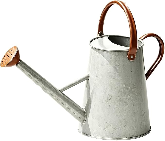 Metal Watering Can with Stainless Steel Handle for Outdoor and Indoor Plants, Watering Can Decor, 1.5 Gallon (Zinc 1)