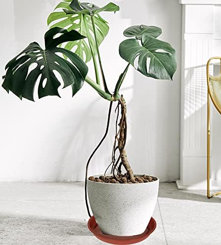 VUWEZ 6 Pack of 22 inch Plant Saucer, Plant Tray 22 Inch Round, Plant Saucers for Indoors, Plant Trays for Pots, Flower Pot Saucers, Pot Saucers for Planter 17-23" (22", Terracotta)