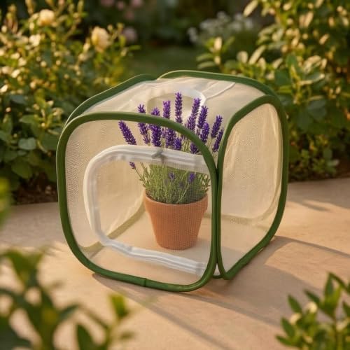 Outdoor Mesh Plant Enclosure, Plant Cover for Pests, Bird and Pest Protection Guard for Fruit, Vegetables, Flowers and Herbs Pop-Up Cage (12 x 12 x 12 Inches) - Image 5