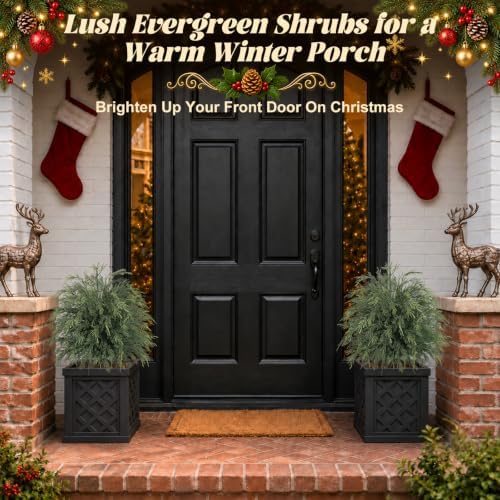 2PCS Arborvitae Cedar Topiary Trees with Spike, Christmas Decor - Image 4