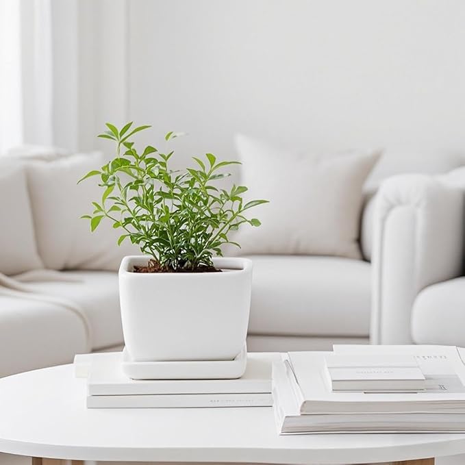 Square Ceramic Plant Saucer Tray 2 Pcs 4 Inch White, 4.8" OD x3.9 ID x0.7 Deep, Sturdy Heavy Duty Glazed Planter Drip Flower pots with Catch Basin for Indoor Outdoor Plants(4" White)