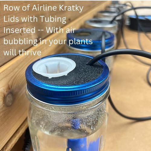 ZXYPRO® Improved Airline Kratky Lid Kit, Fits Wide-Mouth Canning Jar, Pumps Air into up to 4 Wide-Mouth Kratky Jars, Robust Pump And All Tubing And Connectors Included