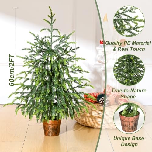 BLEUM CADE 2FT Small Norfolk Pine Tree with Pot, Table top Christmas Tree - Image 2