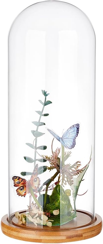 BENECREAT 4.6x12inch Eternal Transparent Flower Glass Cover, Glass Display Dome Cloche Jar with Sandy Brown Solid Wood Base for DIY Flower Craft