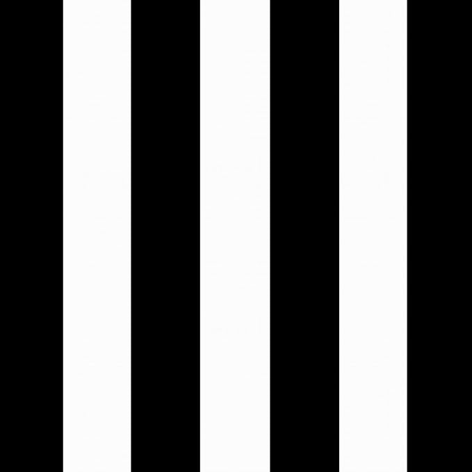 Arden 2-Pack Patio Dining Outdoor Chair Cushions, 20x44, Rain-Proof Seat Pad, Fade-Resistant Outdoor Black Cabana Stripe