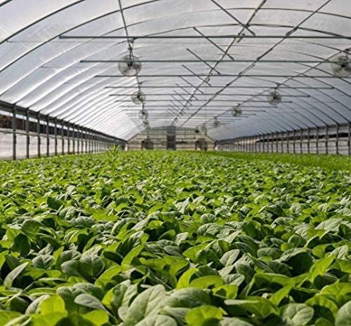Garden Insect Netting Pest Barrier: 4'x10' Bug Netting for Garden Protection Mosquito Net Fine Mesh Cicada Tree Net Greenhouse Row Cover for Crops Plants Vegetables Flowers Fruits Silver