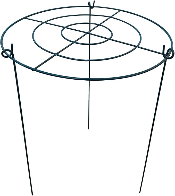 5 Pack 16"x24" Peony Cages Plant Support Stakes Grow Through Grid Grow Through Hoops, Metal Flower Plant Brace Support Ring for Heavy Blossom