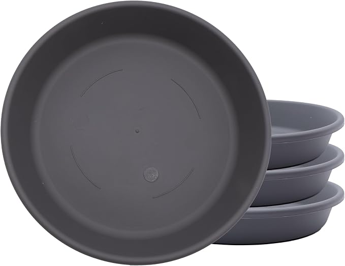 The HC Companies 6 Inch Classic Round Plant Saucer, Lightweight UV-Resistant Plastic Outdoor & Indoor Flower Pot Tray, 4-Pack Plant Pot Trays for Garden & Home Decor, Warm Gray