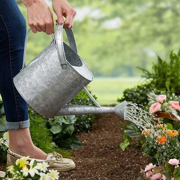 Personalization Universe Galvanized Garden Metal Watering Can - Customizable 144 oz. Indoor/Outdoor Garden Watering Pot with Sprinkle Nose, Gardening Gift for Mother's Day, Mom or Grandma Gift