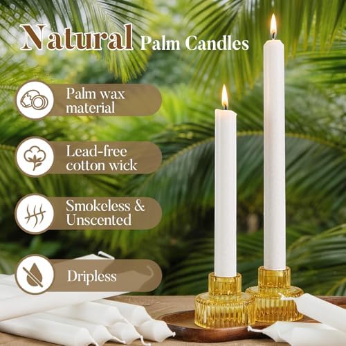 Ashlux Palm Taper Candles 12Pack, 10 Inch Unscented Dripelss Candlesticks - Image 2