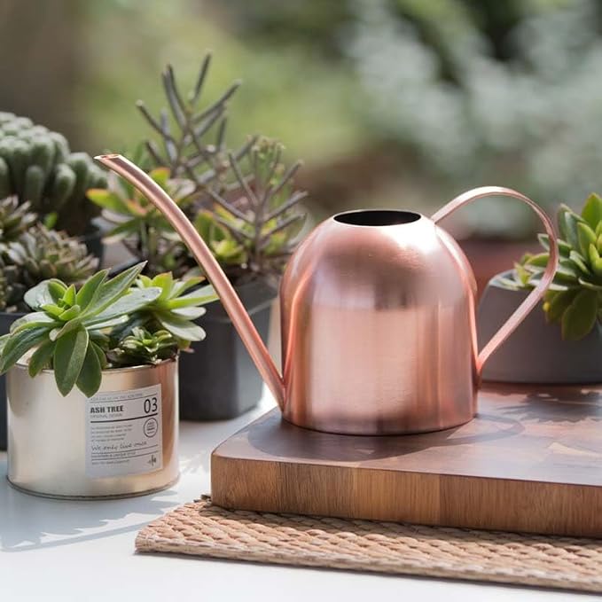 Stainless Steel Water Can for Indoor Plants and Garden (Rose Gold 50 oz)
