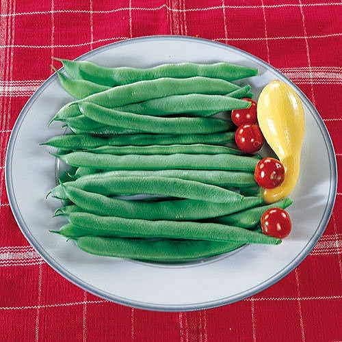 Park Seed Bean Seeds Harvest and Grow Your Own Spring Garden Vegetables, Roma II, Pack of 100
