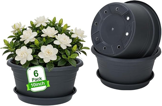 MRPAPA 6Pack Round Plastic Pots for Plants, Outdoor Planters with Drainage Hole & Tray Saucer, Decoration Large Flower Pots for Indoor Outdoor Garden Home Plants (6, Dark Gray, 10 Inch)