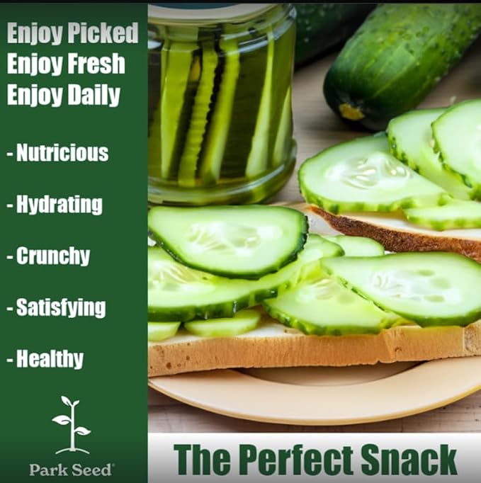 Park Seed Variety of Cucumber Seeds, Planting Cucumbers, Vegetable Seeds, Easy to Grow, Non-GMO, Perfect for Harvesting, Alibi, Pack of 30