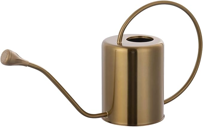 Yowon 1/2 Gallon 68oz Long Spout Stainless Steel Gold Colored Watering Can for Indoor Plant Watering or Outdoor Gardening with 2 Removable Spray Spout for Flowers