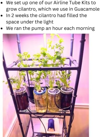 ZXYPRO® Improved Airline Kratky Lid Kit, Fits Wide-Mouth Canning Jar, Pumps Air into up to 4 Wide-Mouth Kratky Jars, Robust Pump And All Tubing And Connectors Included