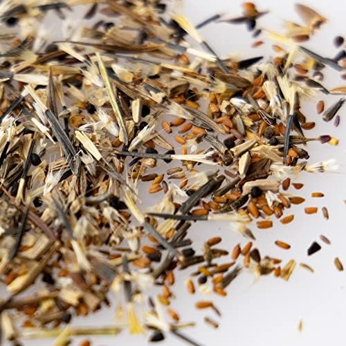 Mountain Valley Seed Co Save The Monarchs Wildflower Seed Shaker - 100,000+ | Wild Flower Seeds for Planting Beautiful Seed Shaker 13 Varieties Attract Monarch Butterflies & Pollinators Covers 250 sq ft