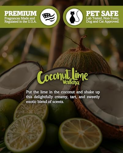Coconut Lime Verbena Soy Votive Candles - Scented with Natural Fragrance Oils - 6 White Natural Votive Candle Refills - Fruit & Berry Collection - Image 5
