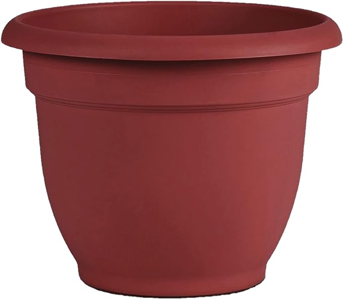 Bloem Ariana Self Watering Planter: 12" - Burnt Red - Durable Resin Pot, for Indoor and Outdoor Use, Self Watering Disk Included, Gardening, 3 Gallon Capacity