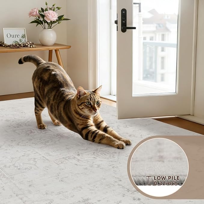 6x9 Area Rugs Living Room: Bedroom Washable Carpet Neutral Cream | Large Vintage Boho Indoor Decor Carpets Soft Nursery Farmhouse Dining Room Office Floor Non-Slip Low Pile Under Table Rug