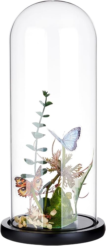 BENECREAT 4.6x12inch Eternal Transparent Flower Glass Cover, Glass Display Dome Cloche Jar with Black Solid Wood Base for DIY Flower Craft