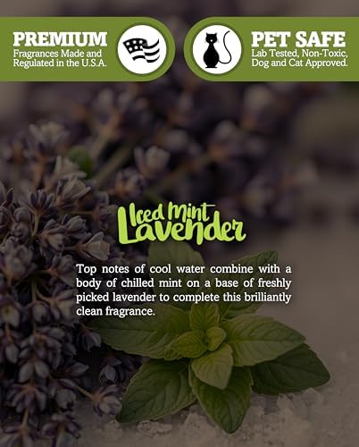Iced Mint Lavender Soy Votive Candles - Scented with Essential & Natural Oils - 6 Mint Natural Votive Candle Refills - Fresh & Clean Collection - Image 5